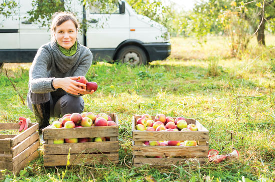 The Winter Larder